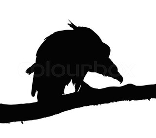 320x284 Silhouette Of Vulture Stock Vector Colourbox
