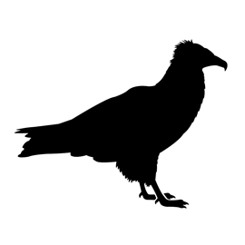 270x270 Vulture Silhouette Stencil Free Stencil Gallery