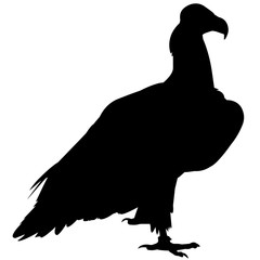 240x240 Vulture Silhouette Vector Graphics