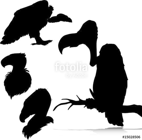 500x492 Vulture Vector Silhouettes Stock Image And Royalty Free Vector