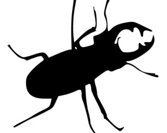 340x270 Beetle Sticker Etsy