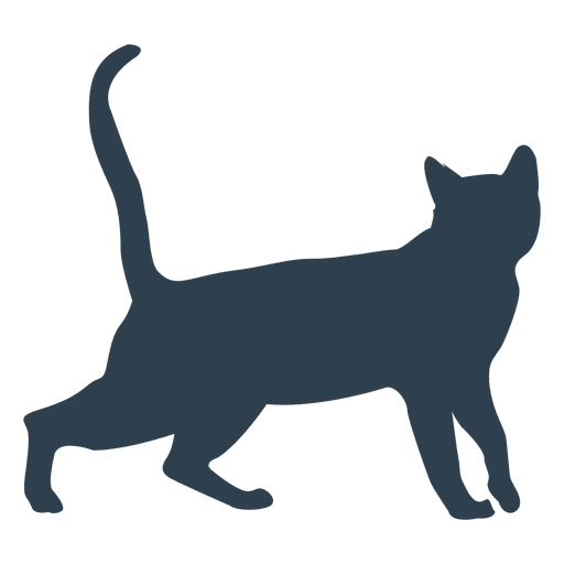 512x512 Cat Walking Silhouette