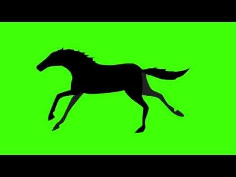 480x360 Free Hd Video Backgrounds Horse Silhouette Walking On Green