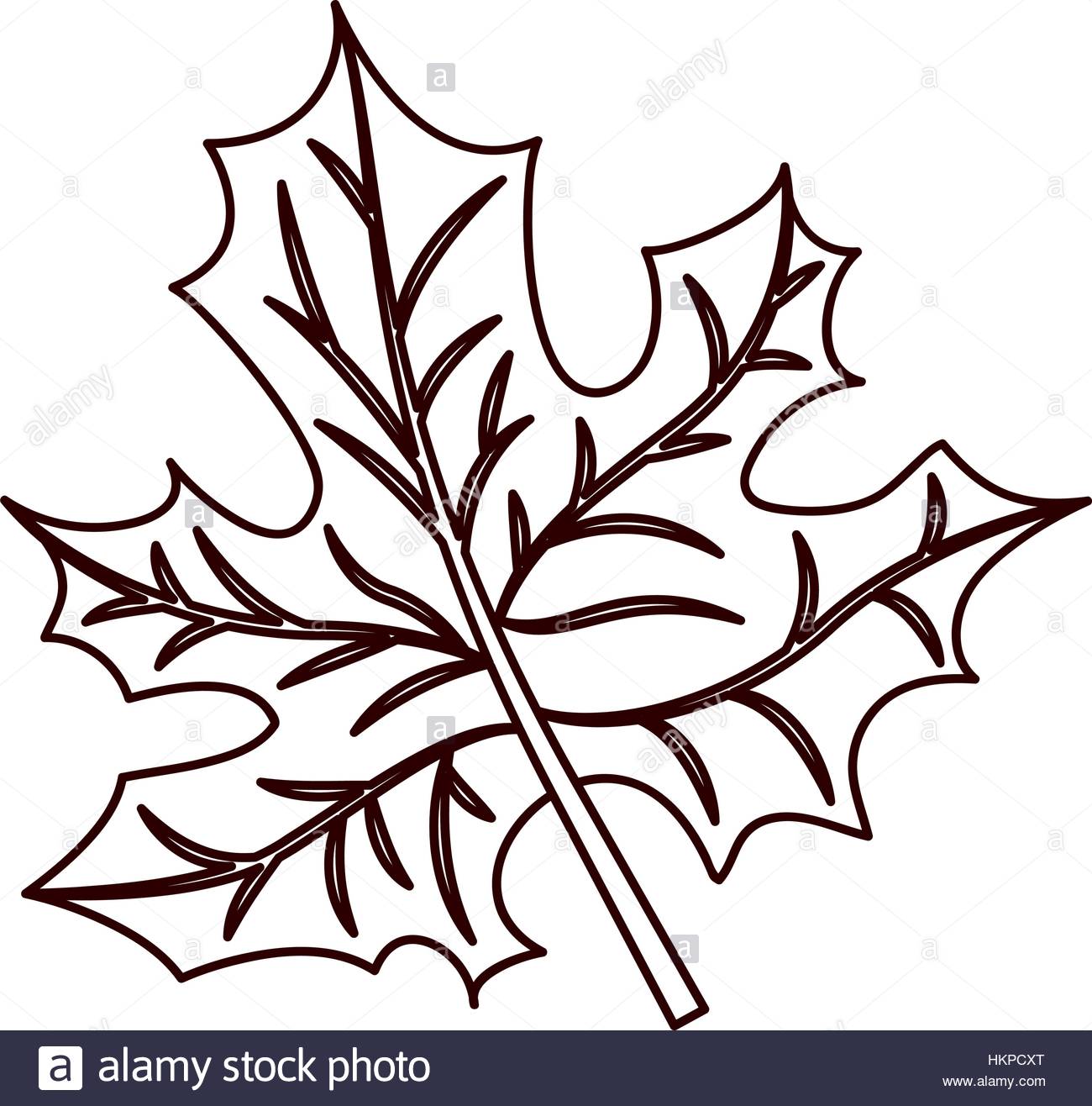 1300x1316 Dried Leaf Stock Vector Images