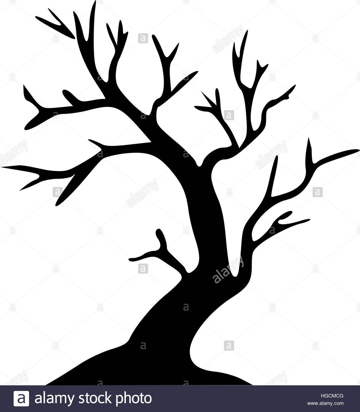 1215x1390 Broadleaf Tree Vector Vectors Stock Photos Amp Broadleaf Tree Vector