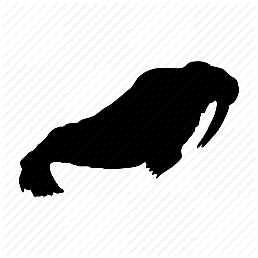 512x512 Morsa, Walrus Icon Icon Search Engine