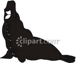 300x249 Walrus Silhouette