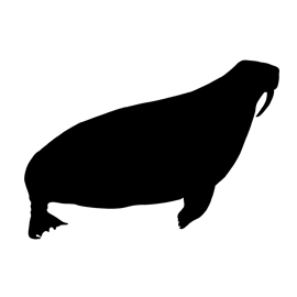 270x270 Walrus Silhouette Stencil Free Stencil Gallery