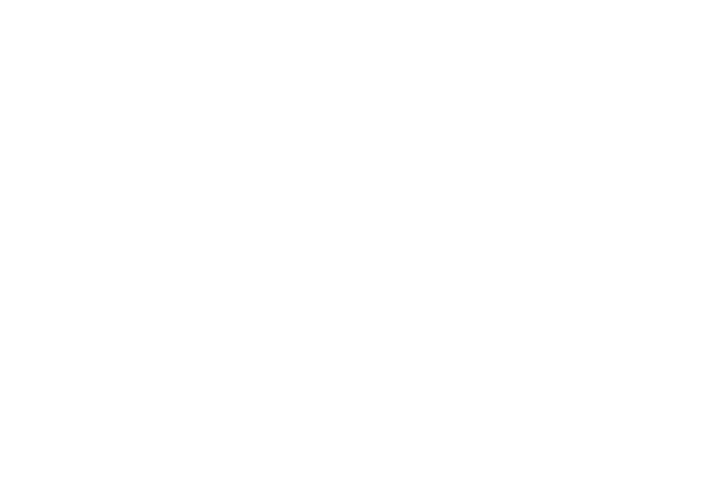 1024x697 Walrus Silhouette By Paperlightbox