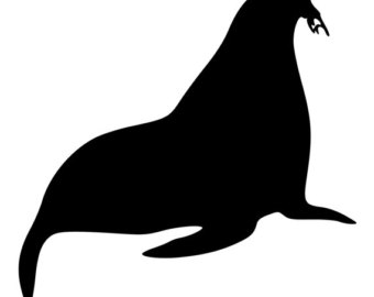 340x270 Walrus Sticker Etsy