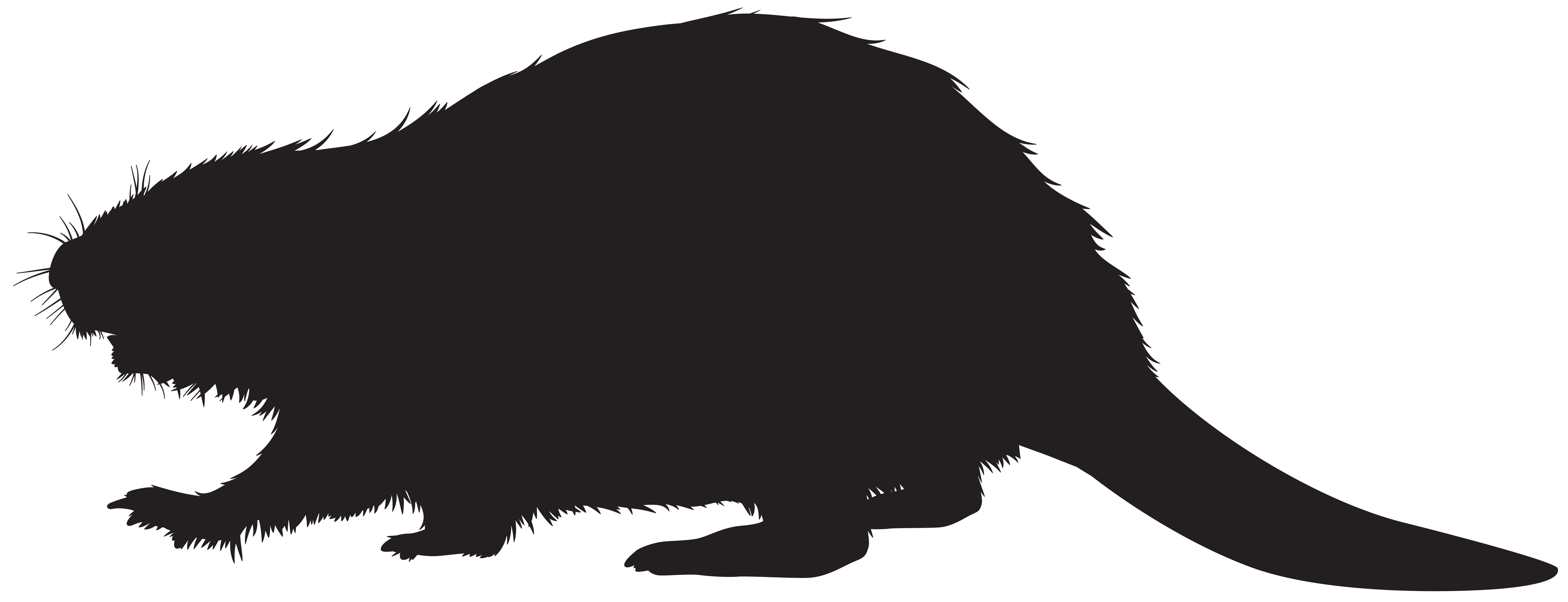 8000x3072 Beaver Silhouette Png Clip Art Imageu200b Gallery Yopriceville