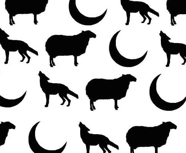 652x537 Shanna Moss Suu Digital Imaging