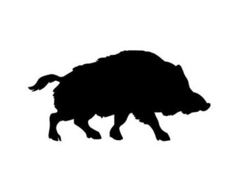 340x270 Warthogs Etsy