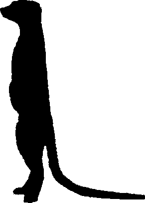 291x405 Meerkat Graphics Crafts