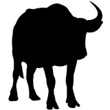 160x160 Water Buffalo Silhouette Vector Graphics Stock Image And Royalty