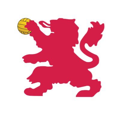 400x400 Stv Girls Water Polo (@viatorgirlspolo) Twitter