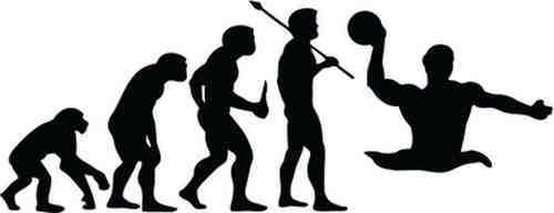 500x192 Dc00132 Evolution Water Polo Car Van Bumper Sticker Reflective