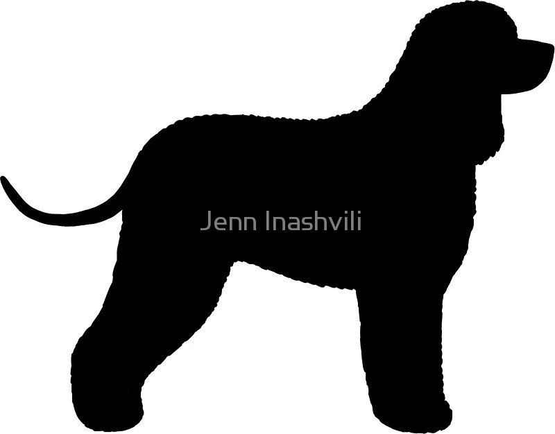 800x626 Irish Water Spaniel Silhouette(S) Stickers By Jenn Inashvili