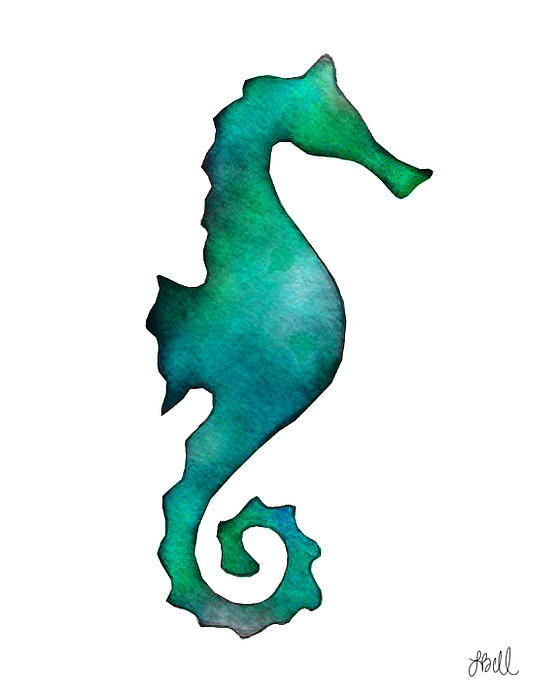 560x700 Seahorse Watercolor Silhouette. Great For A Beautiful Pop Of Color
