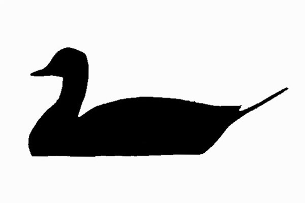 600x400 California Naturemapping