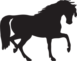 300x240 Horse Silhouette By @johnny Automatic, A Silhouette Of A Horse