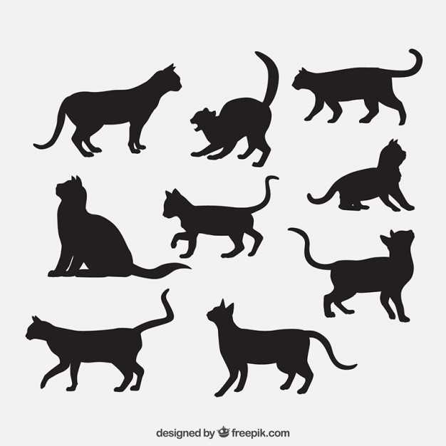 626x626 Silhouettes Of Cat Breeds Vector Free Download