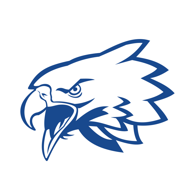 800x800 The Rhinestone World