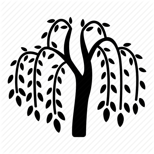 512x512 Branches, Fronds, River, Tree, Vegetation, Weeping, Willow Icon