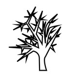 160x160 Weeping Willow Silhouette Outline On White Background Stock Image