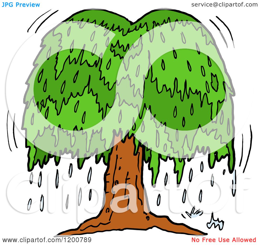 1080x1024 Cartoon Of A Weeping Willow Tree With Tears