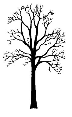 236x385 Cedar Tree By =george Kirk Projekte