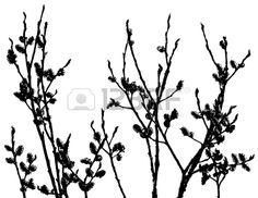 236x182 Dacorative Pussy Willow Branches Spring Flower By Fuflunsa On Etsy
