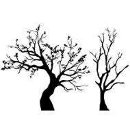 190x190 Vector Tree Silhouettes Premium Clipart