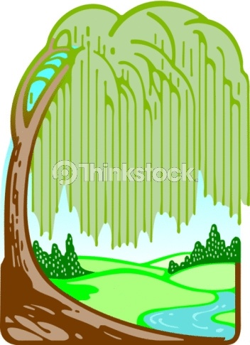 352x485 18 Best Treesboompjes Images On Tree Drawings, Vector