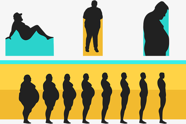 650x432 Fitness Weight Loss Vector, Compared, Blue, Yellow Png And Vector