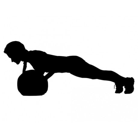 458x458 45 Best Awesome Silhouettes Images On Silhouette, Ice