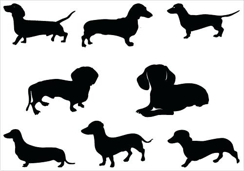 Weiner Dog Silhouette at GetDrawings | Free download