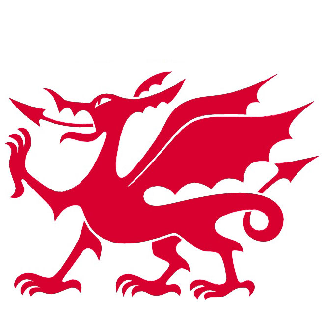 660x660 Welsh Dragon Vector Image