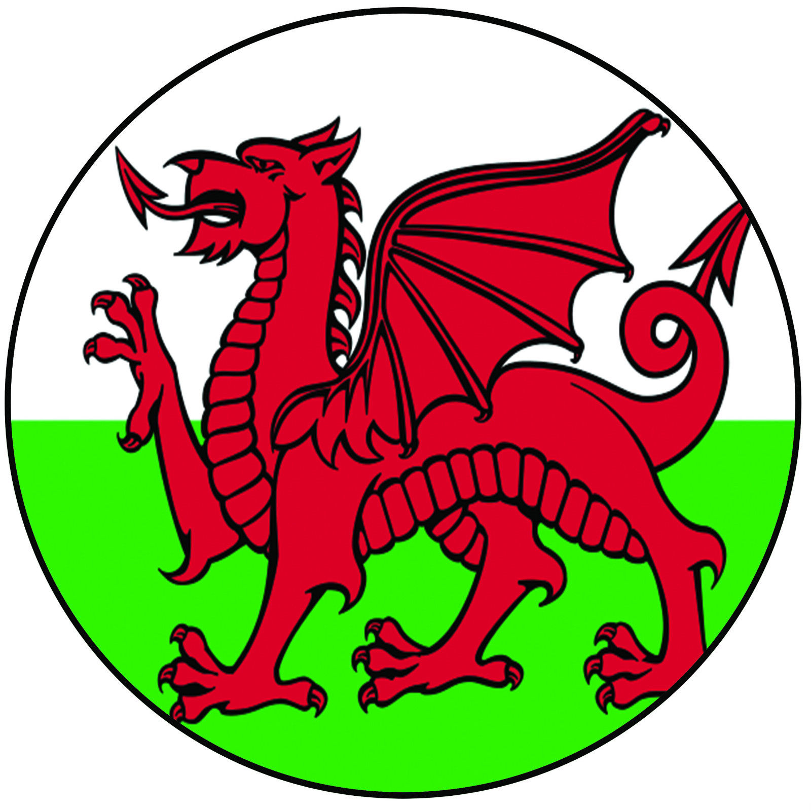 Welsh. Драгон флаг. Герб Кардиффа. Флаг с драконом. Wales герб.