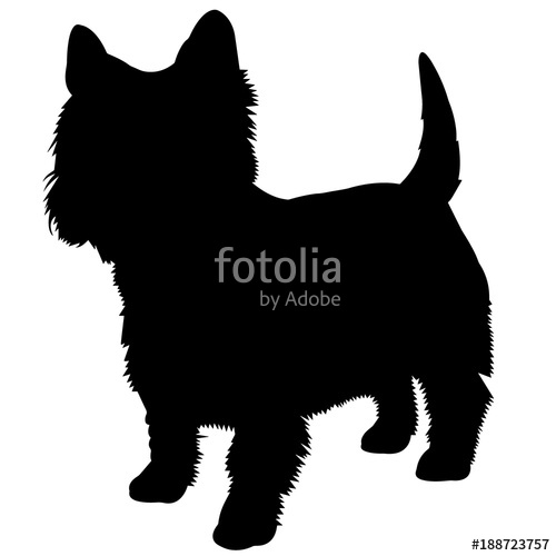 500x500 West Highland White Terrier Silhouette Vector Graphics Stock