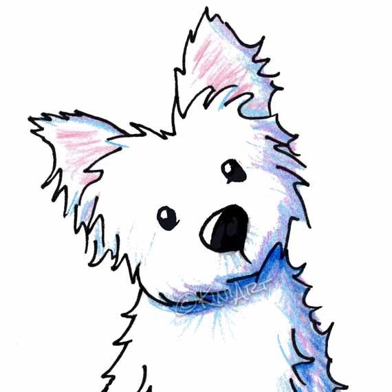 570x570 Westie Clipart