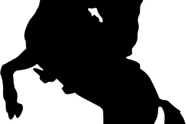 780x520 Unique Cowboy Horse Rider Font Western Wall Decal Home Decor