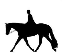 200x176 Horse Graphics