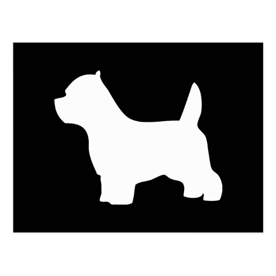 540x540 West Highland White Terrier Dog, Westie Silhouette Postcard