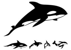 274x195 Whale Shark Clip Art, Free Vector Whale Shark