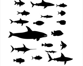 340x270 Whale Shark Decal Etsy