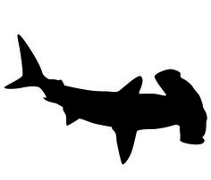 236x202 Printable Shark Silhouette