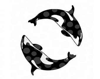 340x270 Whale Silhouette Etsy