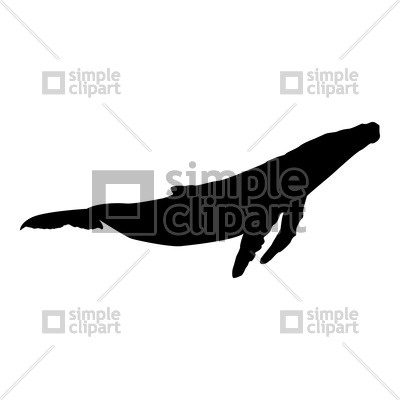 400x400 Whale Silhouette Vector Image