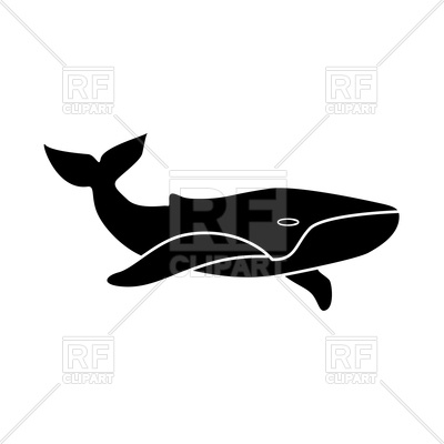 400x400 Whale